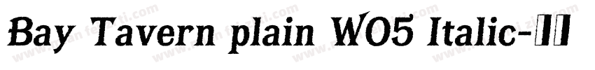 Bay Tavern plain WO5 Italic字体转换